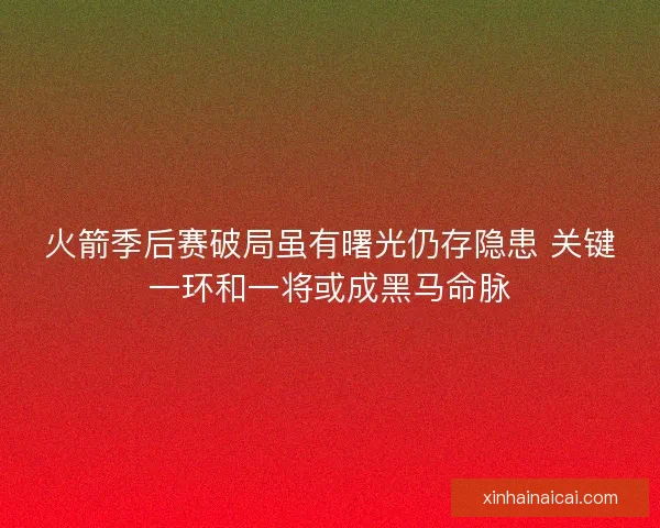 火箭季后赛破局虽有曙光仍存隐患 关键一环和一将或成黑马命脉