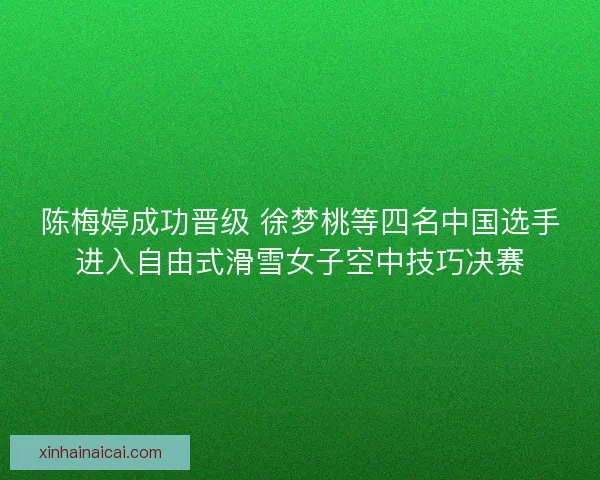 陈梅婷成功晋级 徐梦桃等四名中国选手进入自由式滑雪女子空中技巧决赛